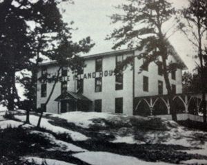 a tree covered in snow
