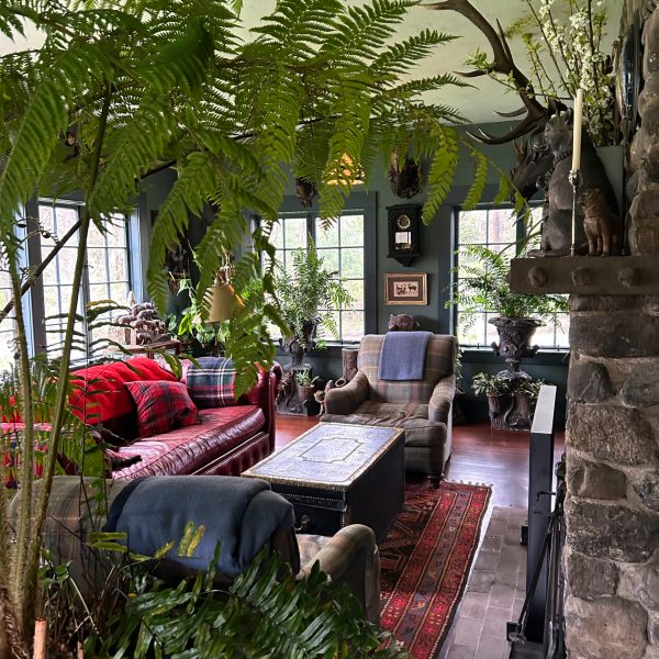 a room filled with furniture and a tree