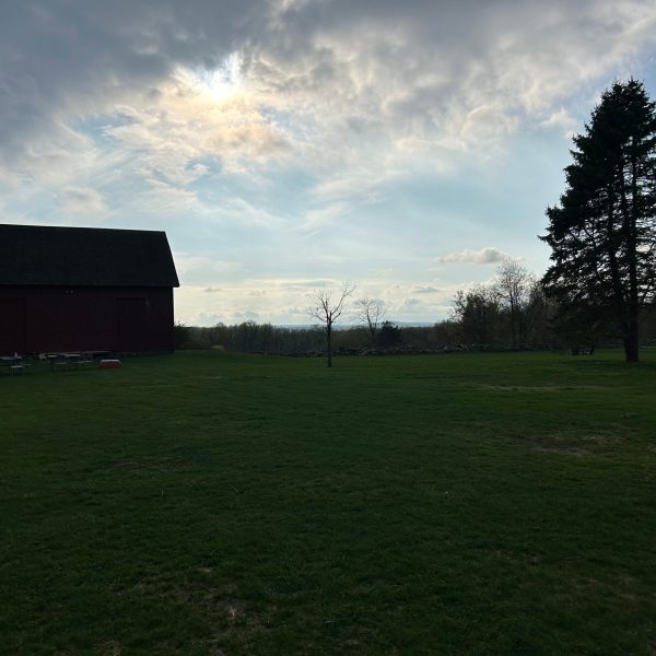a large green field with trees in the background
