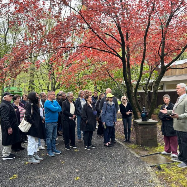 a group of people standing next to a tree
