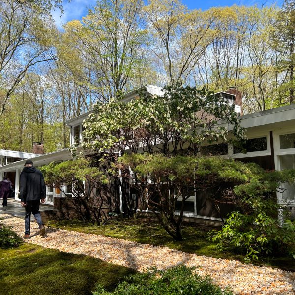 a group of people sitting on a bench next to a tree