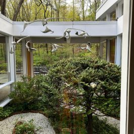 a garden in front of a house