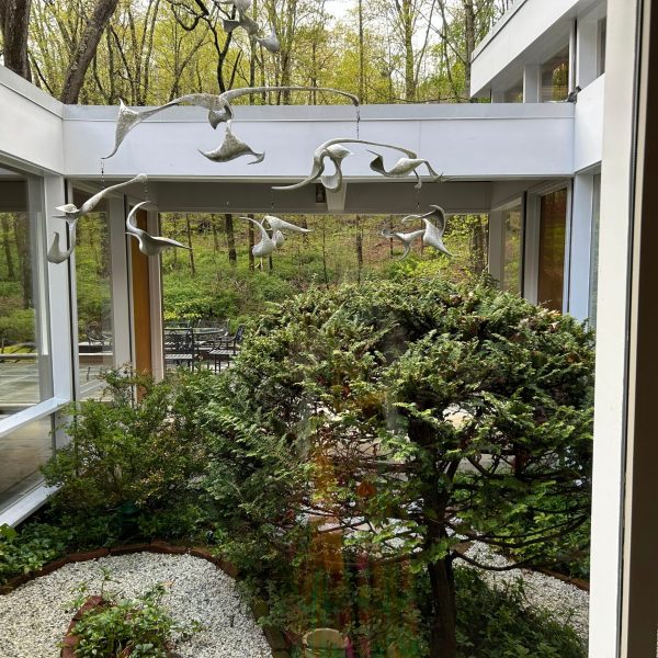 a garden in front of a house