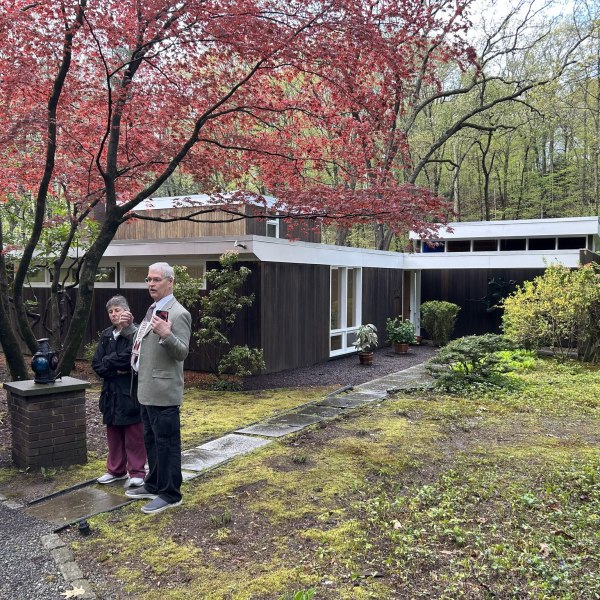 a group of people standing next to a tree
