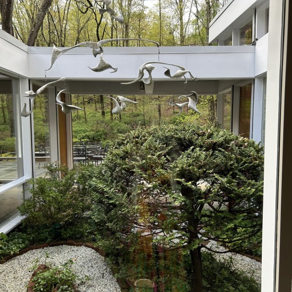 a garden in front of a house