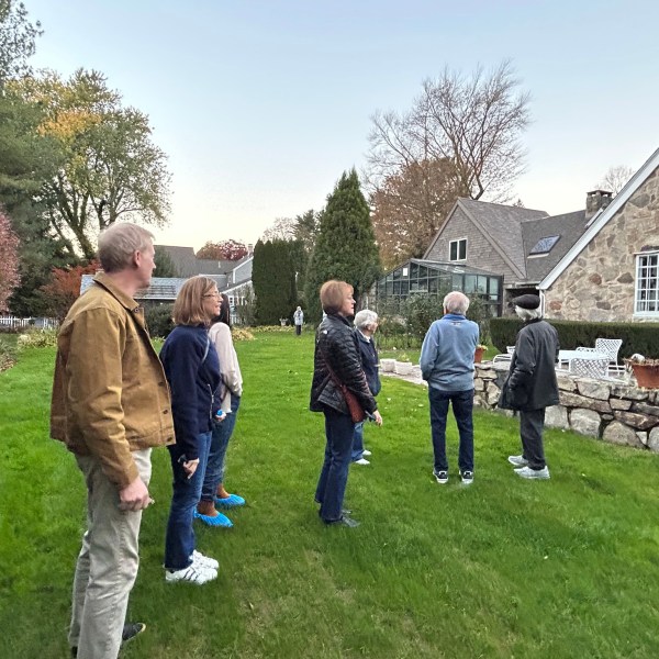 a group of people standing in a yard