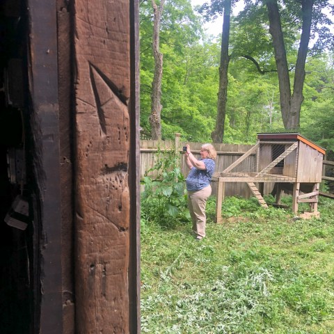Woman photographing a chicken coop in a wooded backyard.