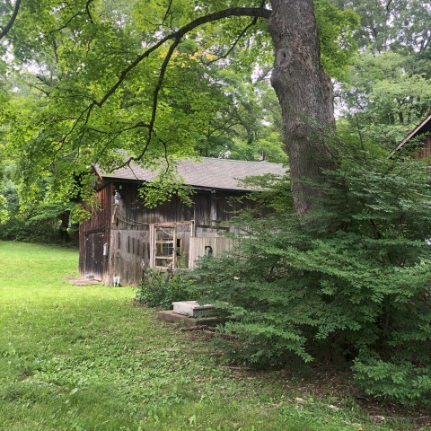 Old wooden shed surrounded by green trees and grass in a rural setting.