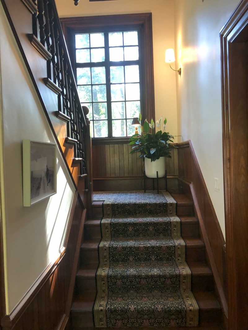 Wooden staircase with carpet runner, plant on landing, large window, and wall sconce.