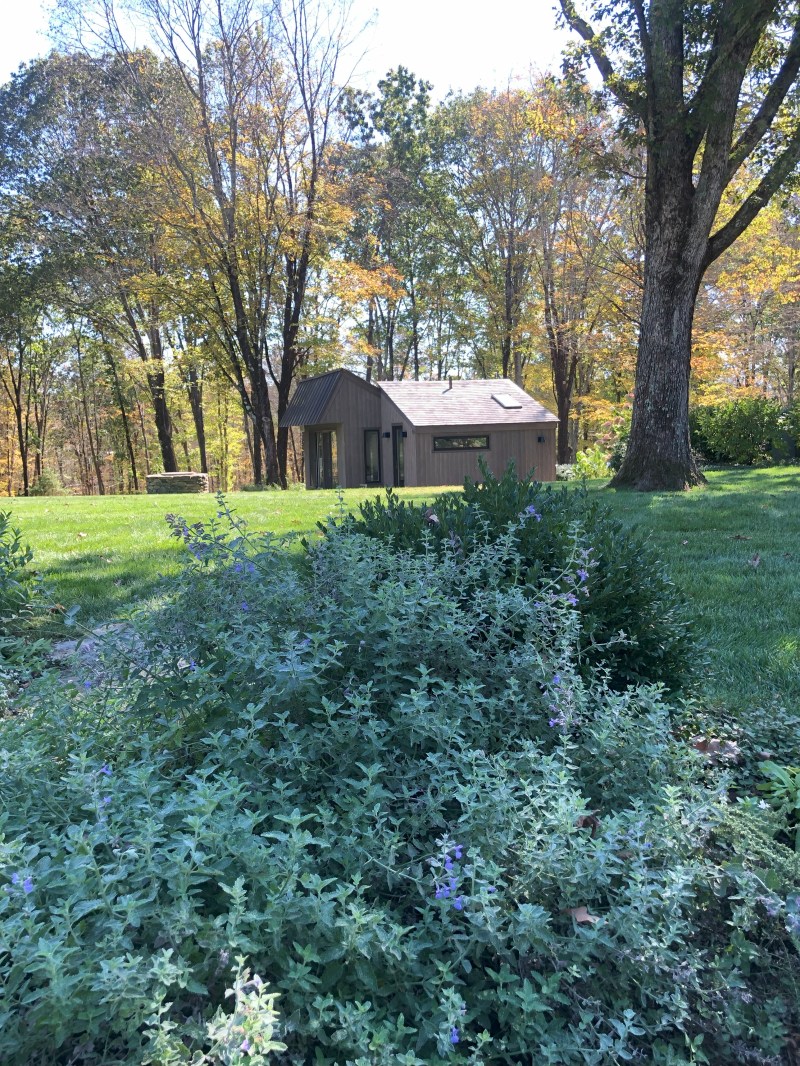 Small brown shed with a sloped roof surrounded by trees and greenery in a grassy yard.