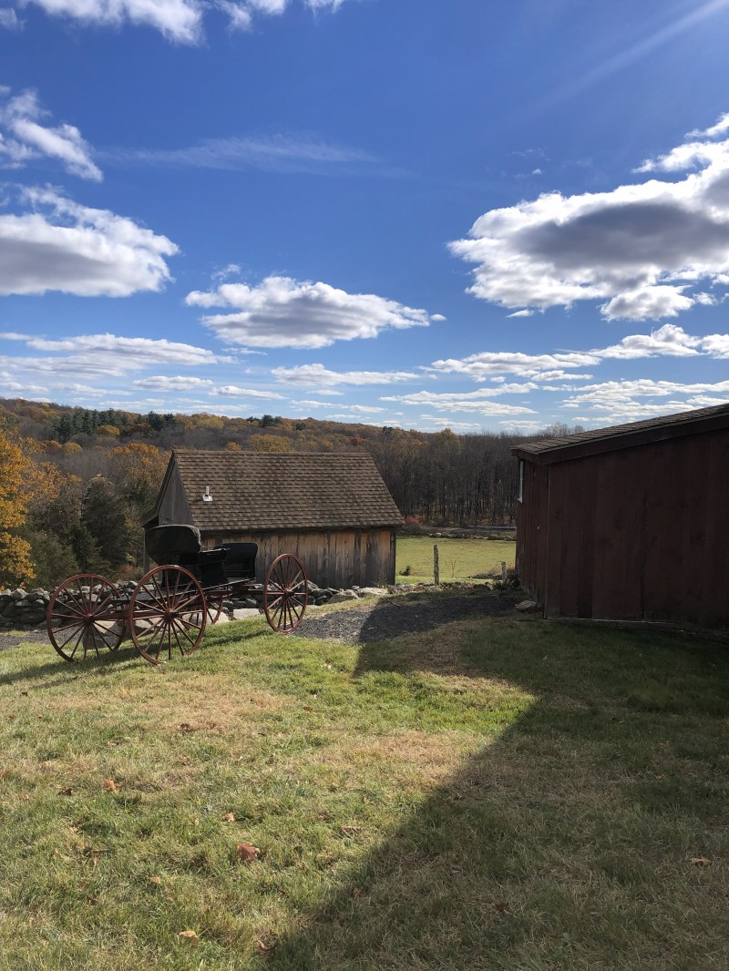 Old wagon near rustic barns, grassy field, and cloudy sky.