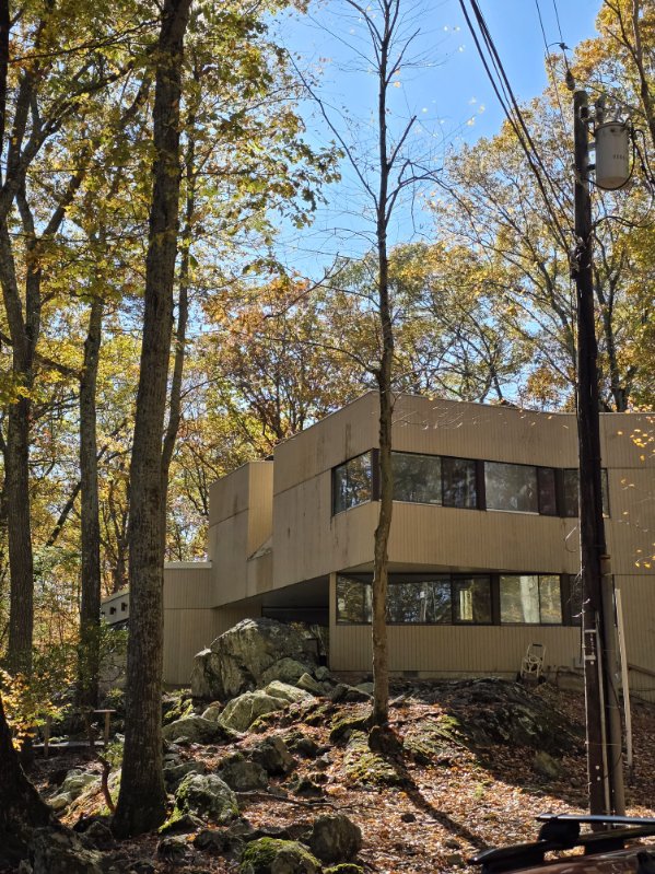 Modern house with large windows surrounded by trees and rocks.